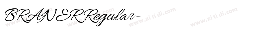 BRANER Regular字体转换 BRANER Regular字体转换